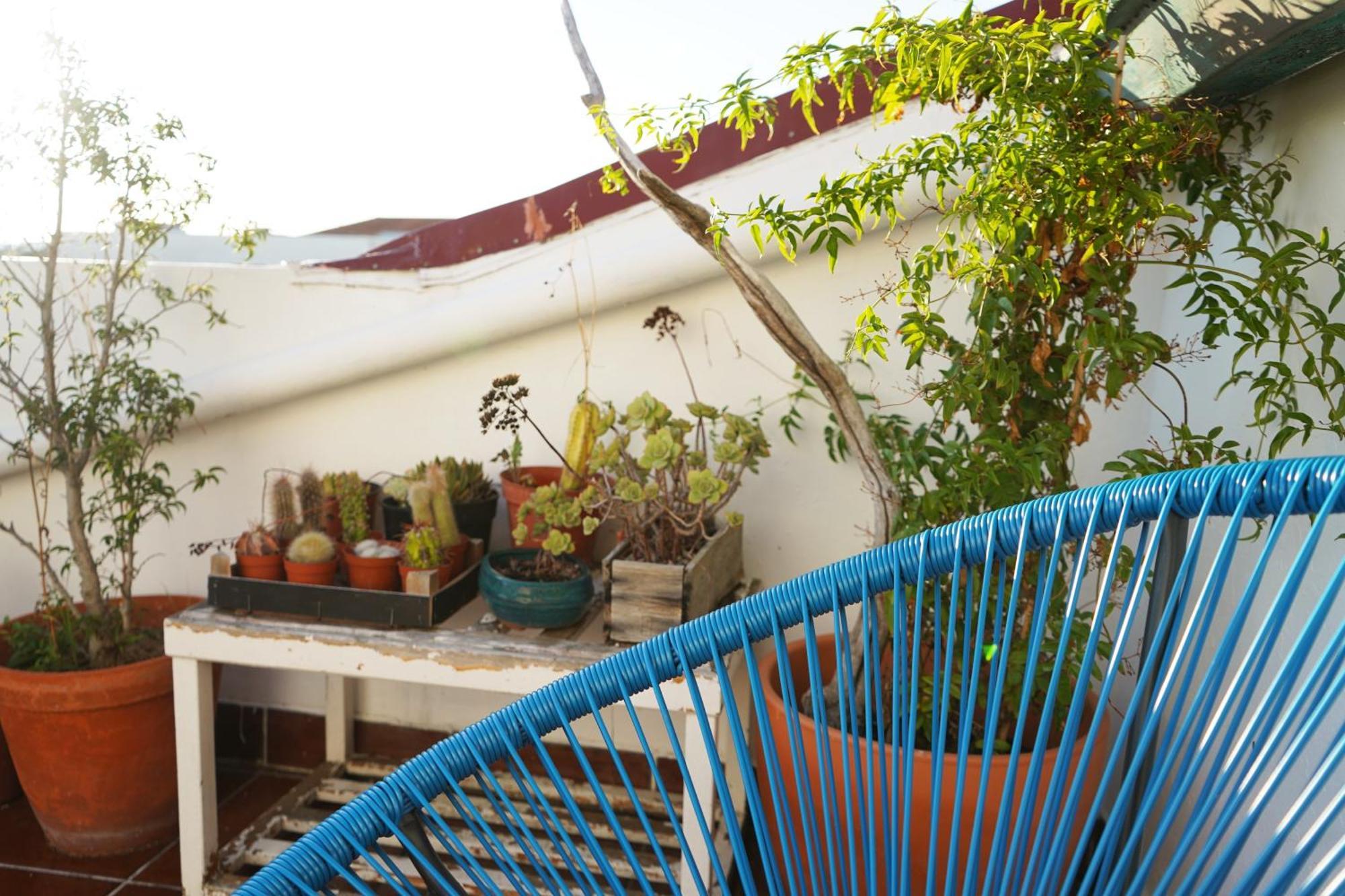 Vic Aveiro Arts House Hotell Exteriör bild